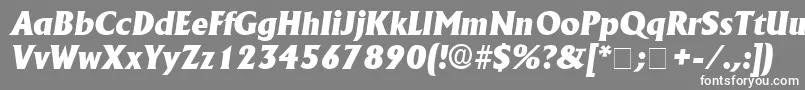 フォントAnkuraSsiItalic – 灰色の背景に白い文字