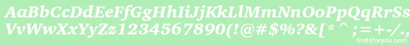 CharterBlackItalicBt Font – White Fonts on Green Background