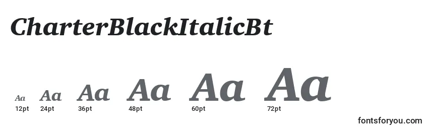 CharterBlackItalicBt Font Sizes