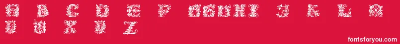 Flowerpower Font – White Fonts on Red Background