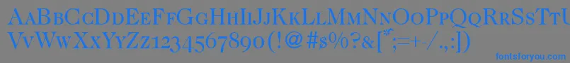 Caslon335smcRegular Font – Blue Fonts on Gray Background