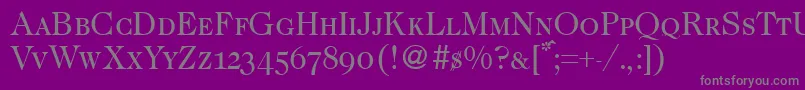 Caslon335smcRegular Font – Gray Fonts on Purple Background