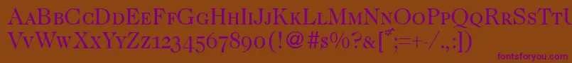 Caslon335smcRegular Font – Purple Fonts on Brown Background
