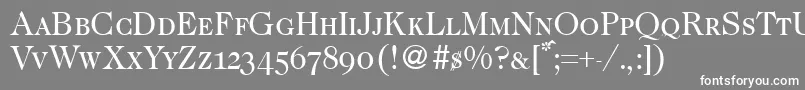 Caslon335smcRegular Font – White Fonts on Gray Background