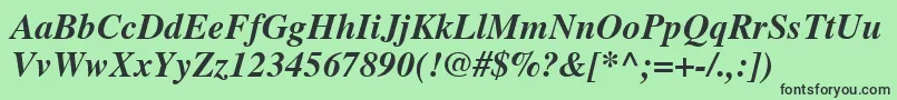 NttimesBolditalic Font – Black Fonts on Green Background