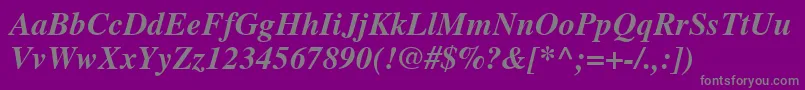 NttimesBolditalic-Schriftart – Graue Schriften auf violettem Hintergrund