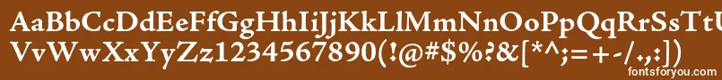 フォントAjensonproBoldcapt – 茶色の背景に白い文字