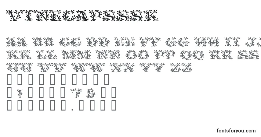 Czcionka Vinecapsssk – alfabet, cyfry, specjalne znaki