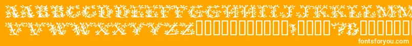 Vinecapsssk-Schriftart – Weiße Schriften auf orangefarbenem Hintergrund