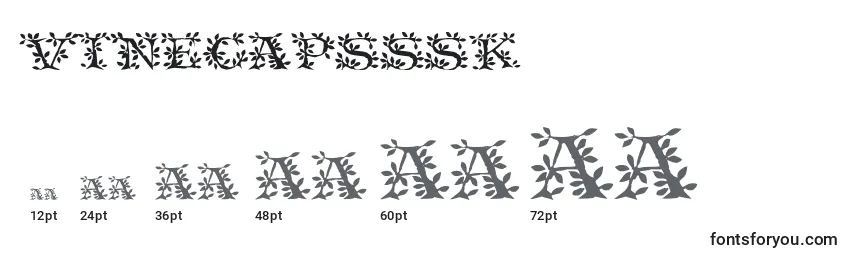 Размеры шрифта Vinecapsssk