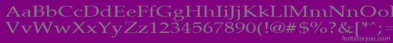 フォントPalisadebroadRegular – 紫の背景に灰色の文字