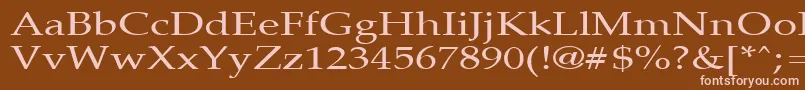 PalisadebroadRegular Font – Pink Fonts on Brown Background