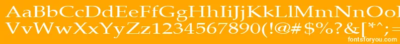 PalisadebroadRegular Font – White Fonts on Orange Background