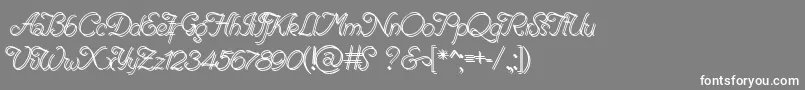 フォントRenaniaDoubleLine – 灰色の背景に白い文字