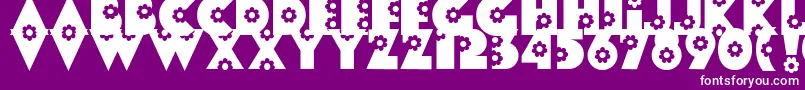 Flores Font – White Fonts on Purple Background