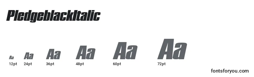 PledgeblackItalic Font Sizes