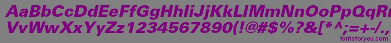 UniversltstdBlackobl Font – Purple Fonts on Gray Background