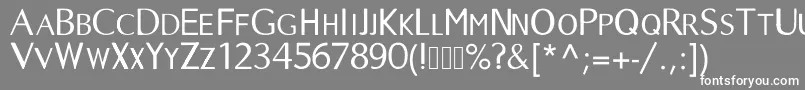 Longtime Font – White Fonts on Gray Background