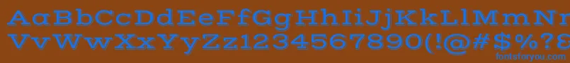 VastshadowRegular Font – Blue Fonts on Brown Background