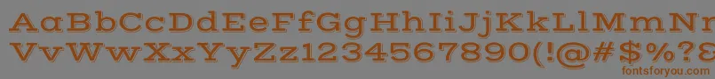 VastshadowRegular Font – Brown Fonts on Gray Background