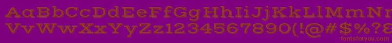 VastshadowRegular Font – Brown Fonts on Purple Background