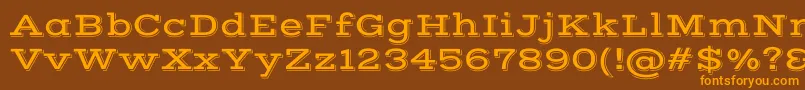 VastshadowRegular Font – Orange Fonts on Brown Background