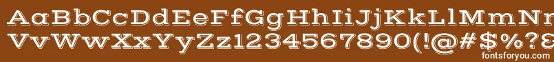 VastshadowRegular Font – White Fonts on Brown Background