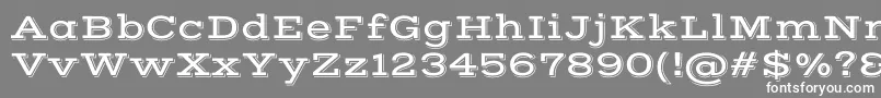 VastshadowRegular Font – White Fonts on Gray Background