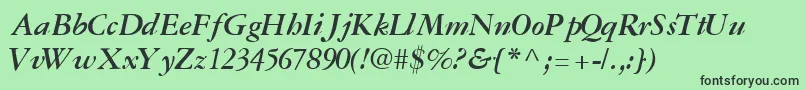 GaramondreprisesskBoldItalic Font – Black Fonts on Green Background