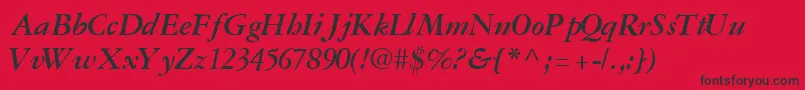 GaramondreprisesskBoldItalic Font – Black Fonts on Red Background