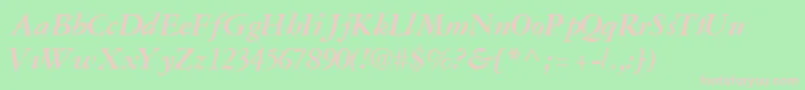 GaramondreprisesskBoldItalic Font – Pink Fonts on Green Background