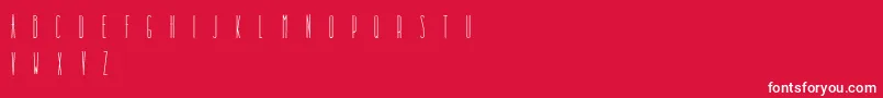 DooodleistaCondensed Font – White Fonts on Red Background