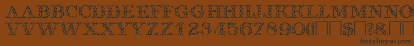 TrellisdisplaycapssskRegular Font – Black Fonts on Brown Background