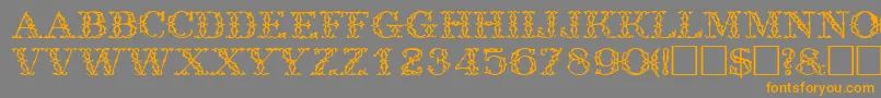 TrellisdisplaycapssskRegular Font – Orange Fonts on Gray Background