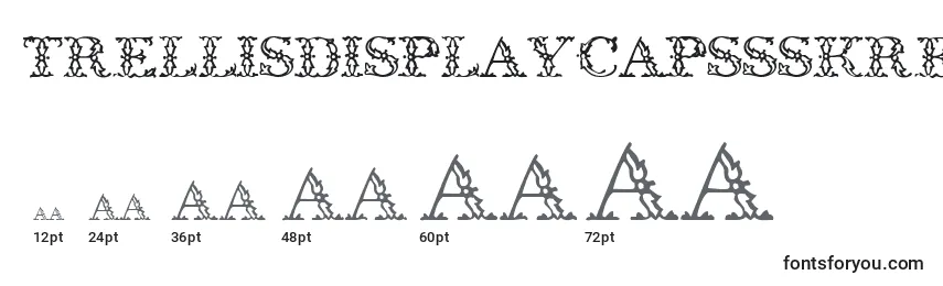 Размеры шрифта TrellisdisplaycapssskRegular