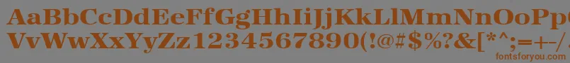 Urwantiquatextbolextwid-fontti – ruskeat fontit harmaalla taustalla
