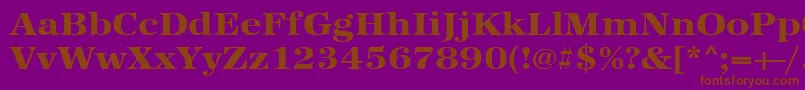 Urwantiquatextbolextwid-Schriftart – Braune Schriften auf violettem Hintergrund