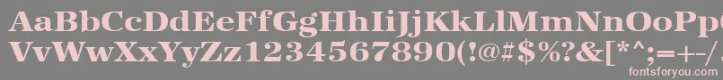 Urwantiquatextbolextwid-Schriftart – Rosa Schriften auf grauem Hintergrund