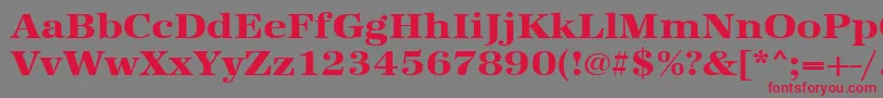 Шрифт Urwantiquatextbolextwid – красные шрифты на сером фоне