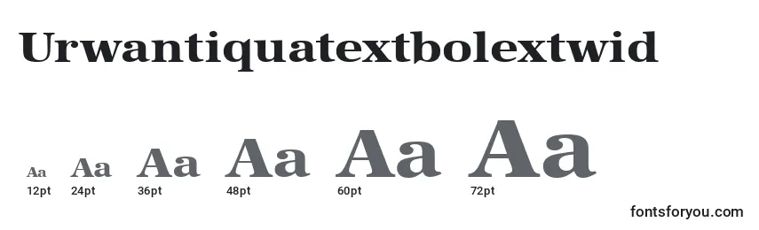Размеры шрифта Urwantiquatextbolextwid
