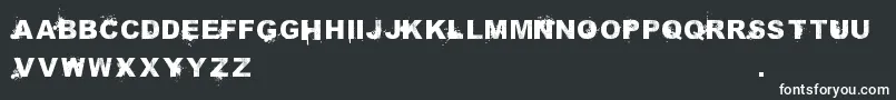 SammiesSansserif Font – White Fonts on Black Background