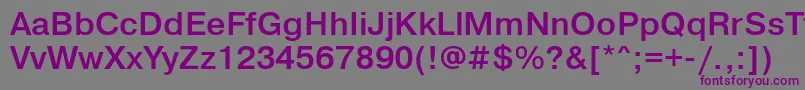 PragmaticalightgttBold Font – Purple Fonts on Gray Background