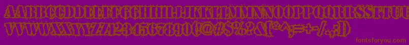 Warwound Font – Brown Fonts on Purple Background