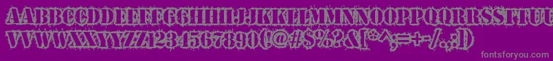 Warwound Font – Gray Fonts on Purple Background