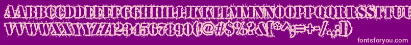 Warwound Font – Pink Fonts on Purple Background