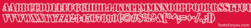 Warwound Font – Pink Fonts on Red Background