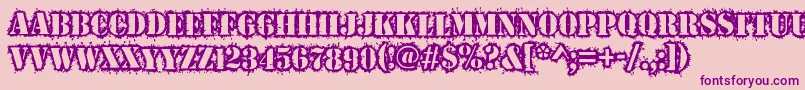 Warwound Font – Purple Fonts on Pink Background