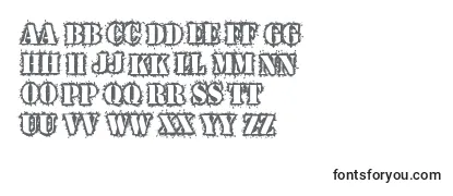 Review of the Warwound Font