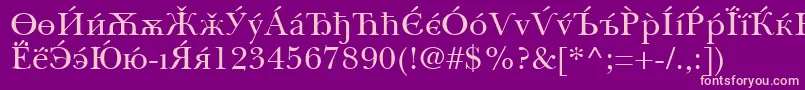 BaskervilleCyrillicRoman Font – Pink Fonts on Purple Background