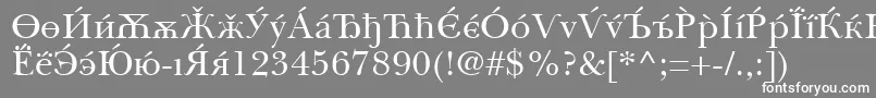 フォントBaskervilleCyrillicRoman – 灰色の背景に白い文字